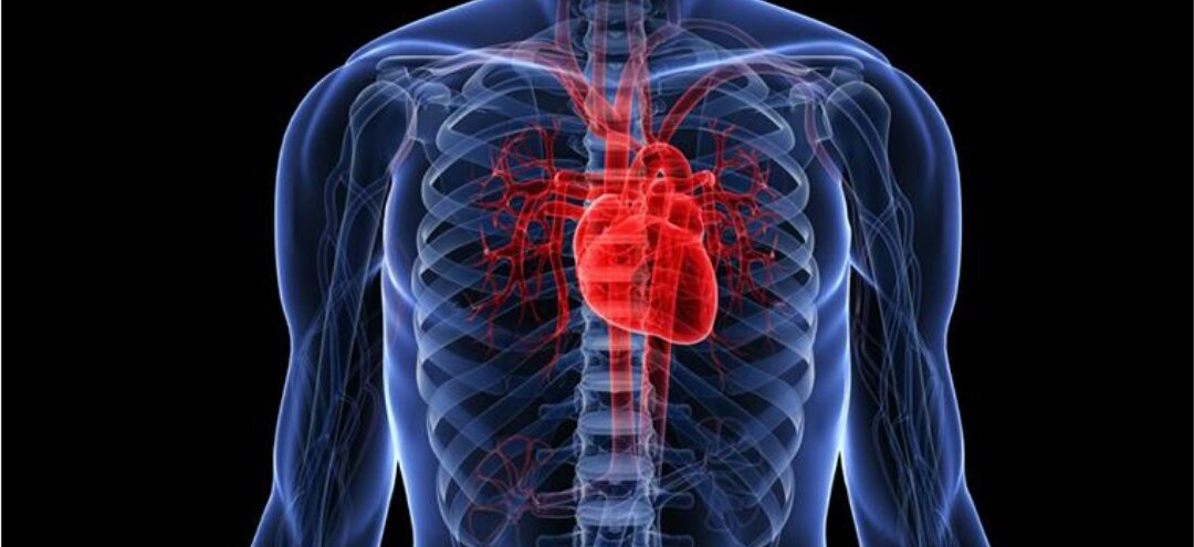 Фото: гута клиник