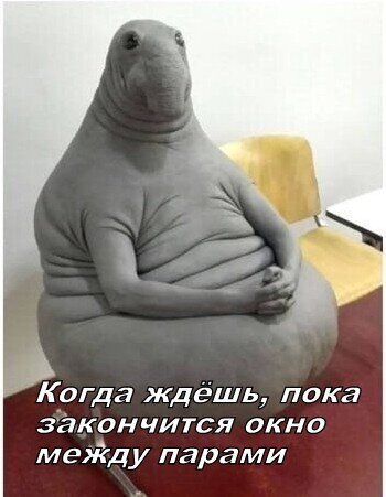 Жизнь-боль)
