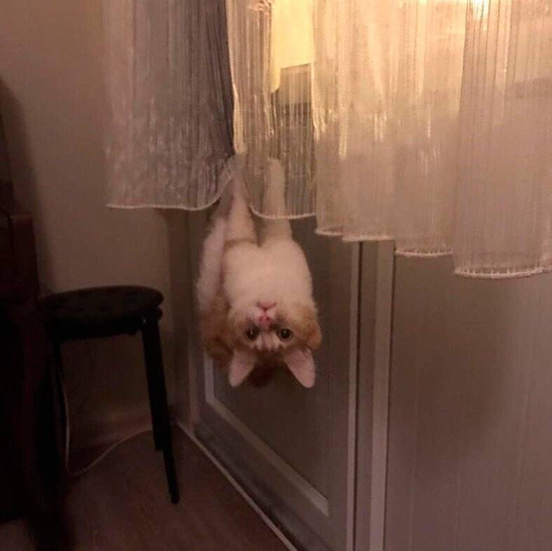 я и сам нормально продержусь