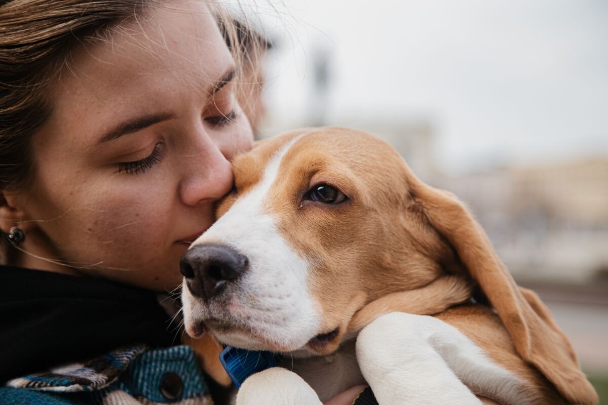 Может ли собака обидеться на хозяина? Есть ли чувство обиды у собак | Dog  Breeds | Дзен