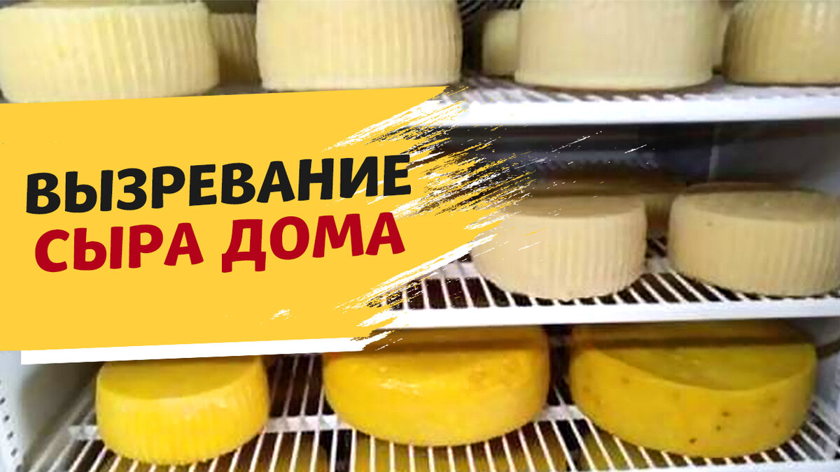 Идеально для созревания сыра. Где взять камеру для вызревания? | Школа ...
