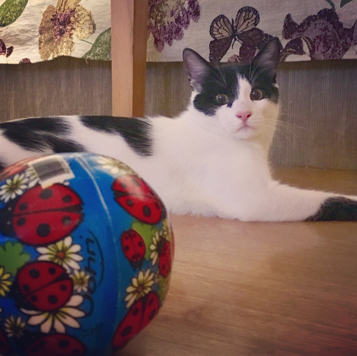 фото: МК в Крыму