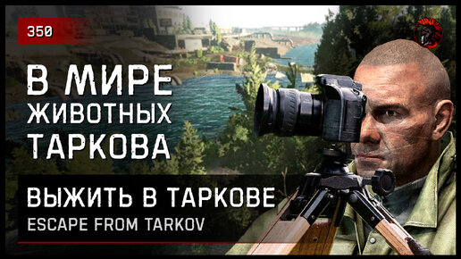 В МИРЕ ЖИВОТНЫХ ТАРКОВА • Escape from Tarkov №350