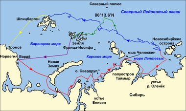 Обитатели Северного и Южного полюсов