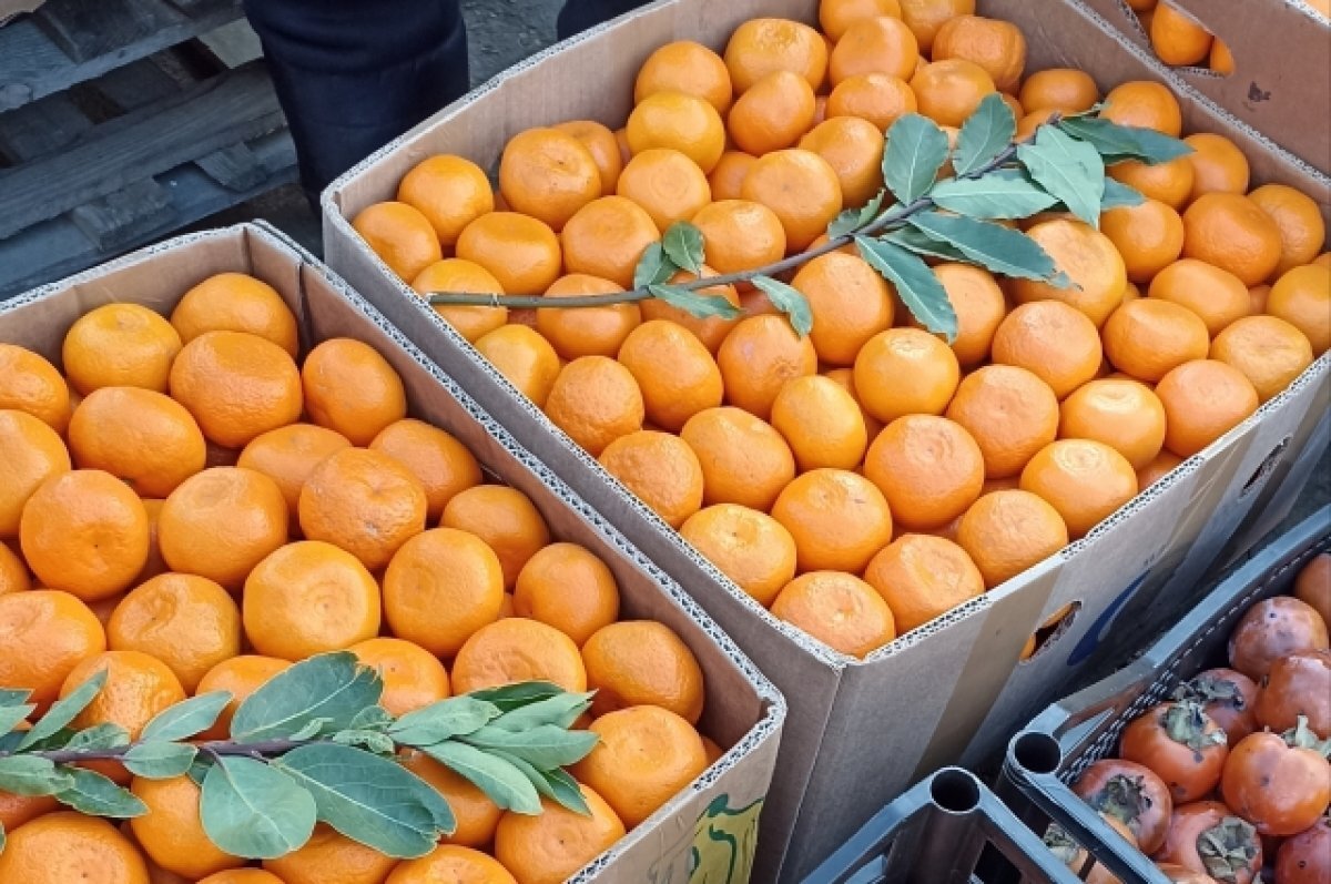    Импорт цитрусовых увеличился в Приморском крае