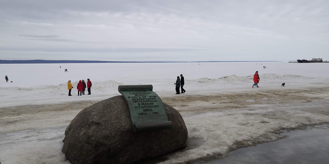 Половина Петрозаводска