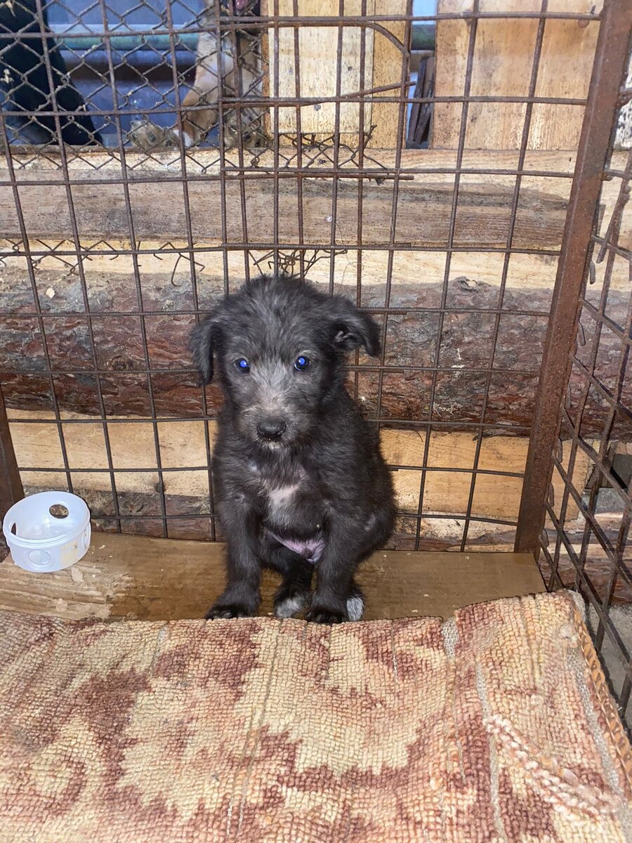 Вот коротко о нашем состоянии сегодня