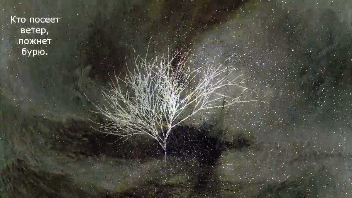 ветер поднимается в сичжоу 2023