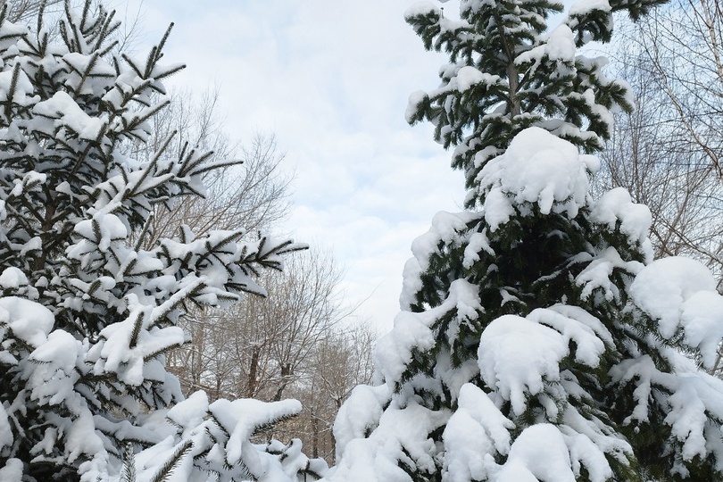 Самая сложная строчка в задании 7 ЕГЭ по русскому языку