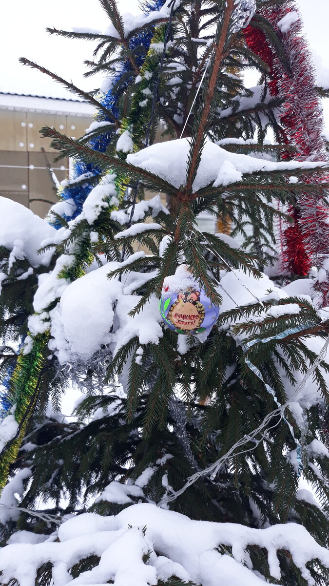 Фото моё. Такая ёлка стояла на улице у моих родителей в прошлом году)))