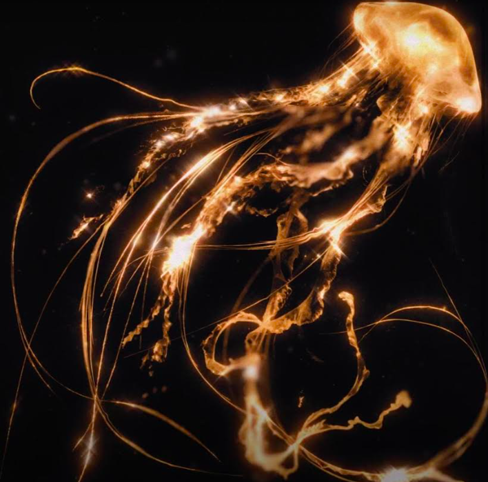 Источник: images.squarespace-cdn.com