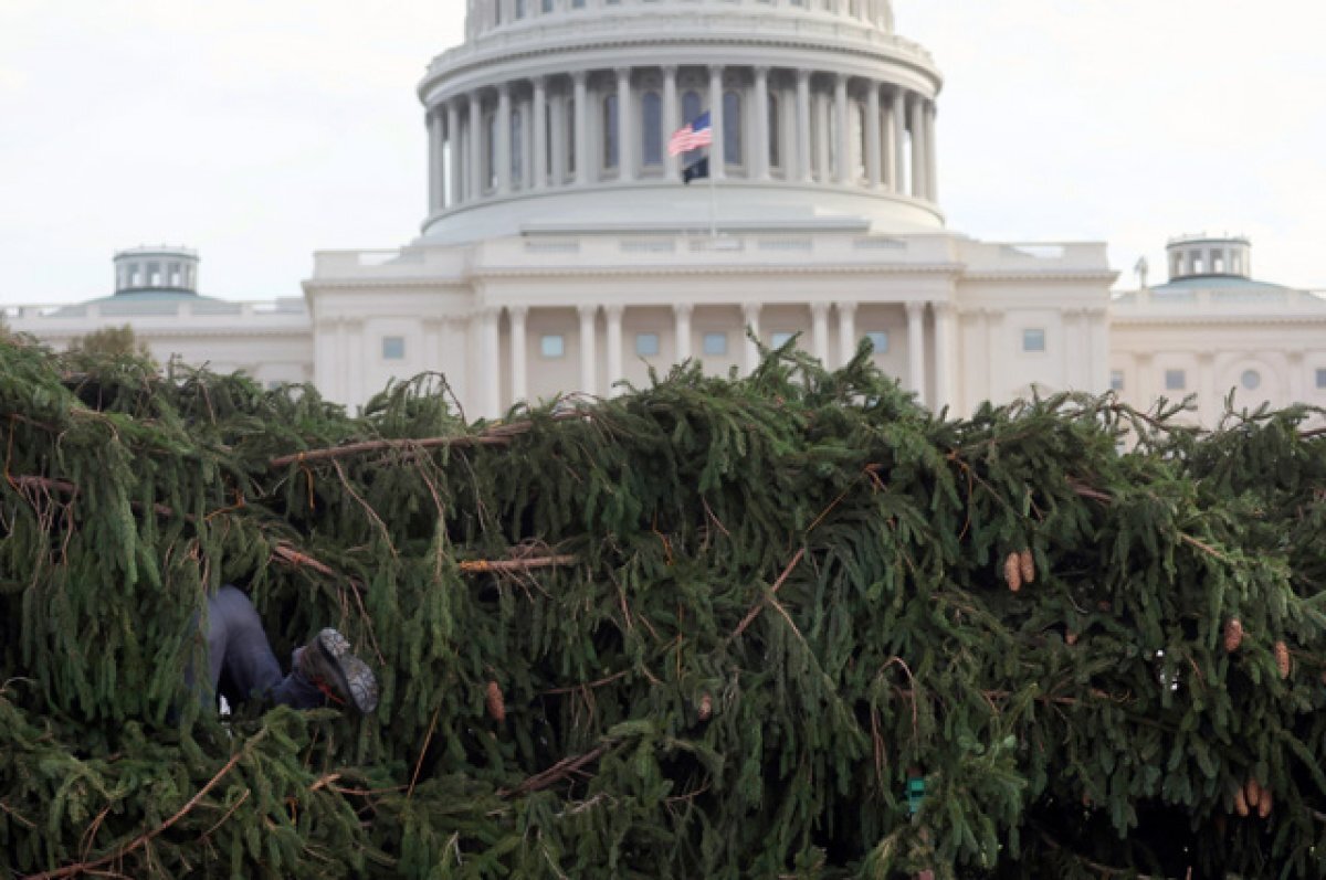    «Что-то еще, кроме Байдена».