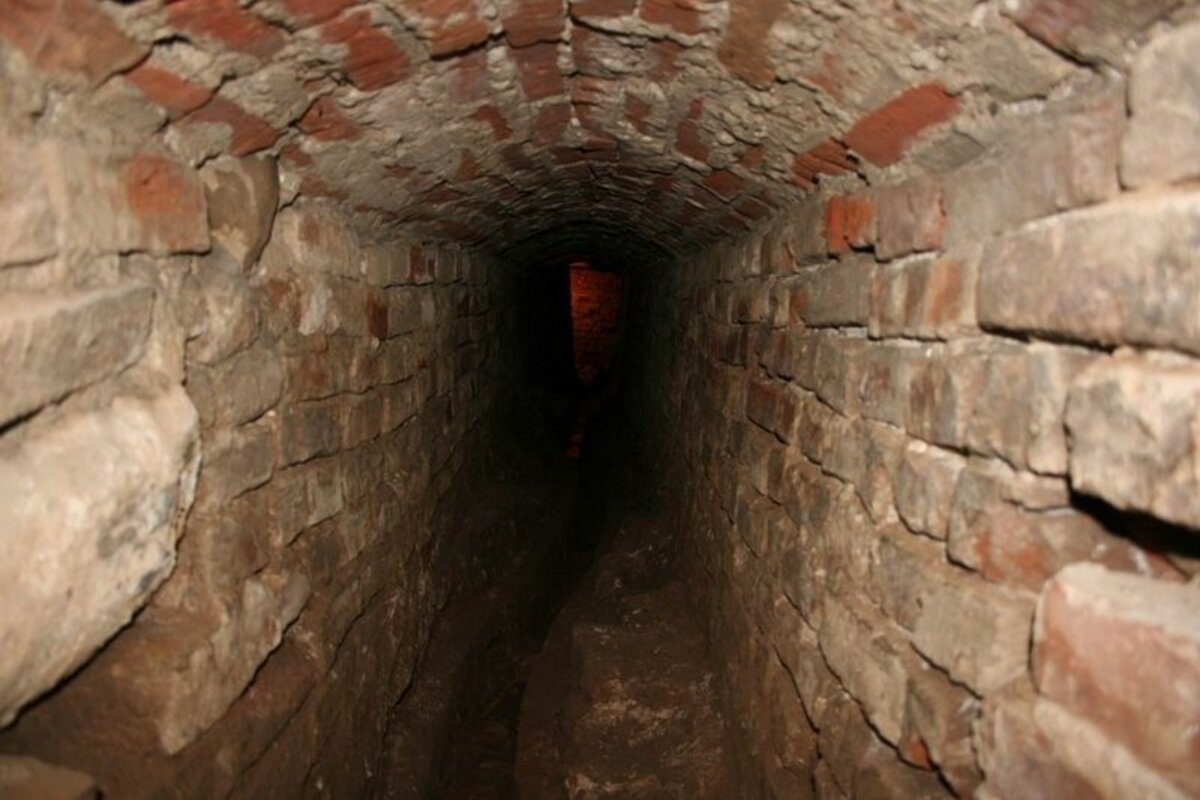 фото из интернета