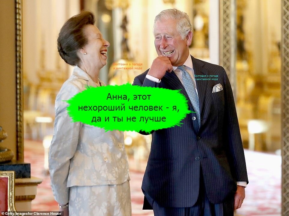 В своей книге Омид Скоби дал нелестные характеристики не только Карлу III, но и принцессе Анне