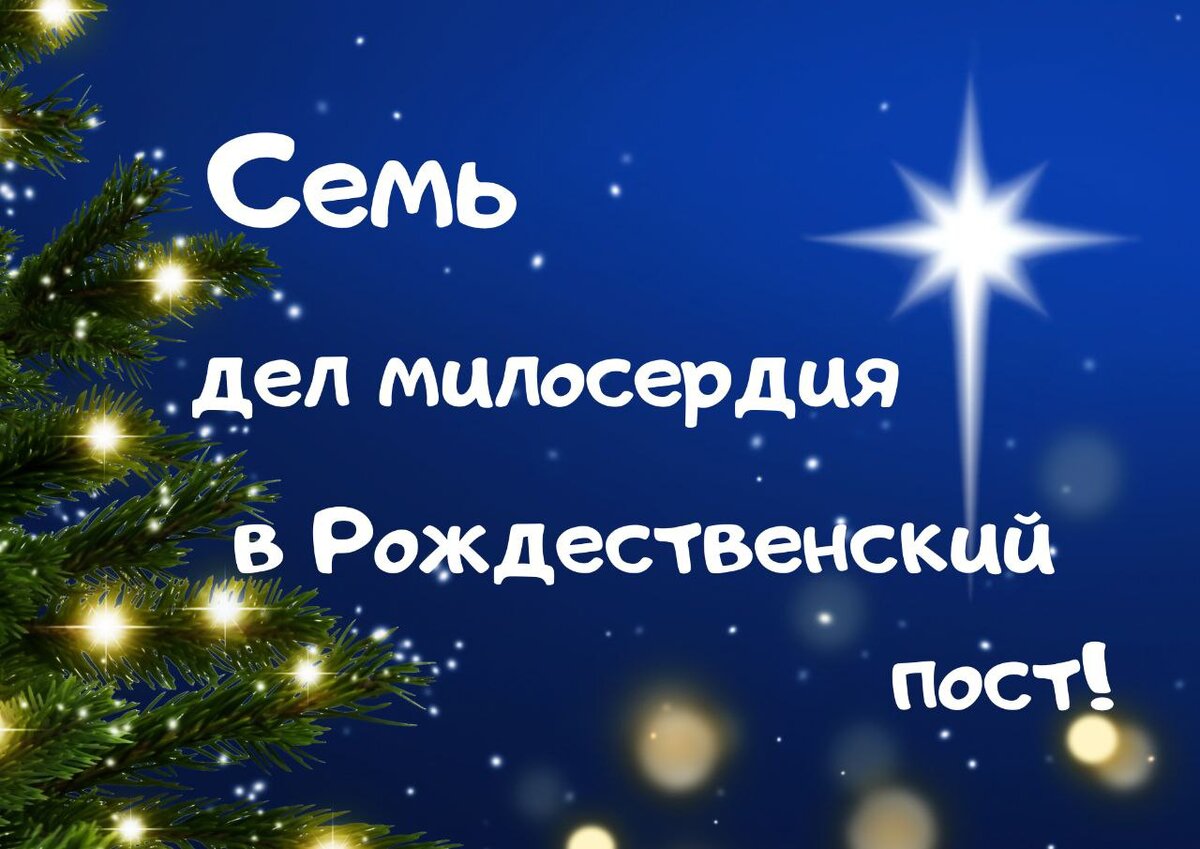 Семь дел милосердия в Рождественский пост! | Хабаровская епархия помогает |  Дзен