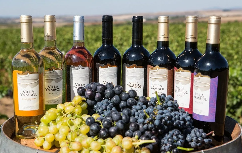 Производство вина из винограда. Шато Андре винодельня. Виноделие Кистаури Марани. Шато Мухрани винодельня. Вальма винодельня.