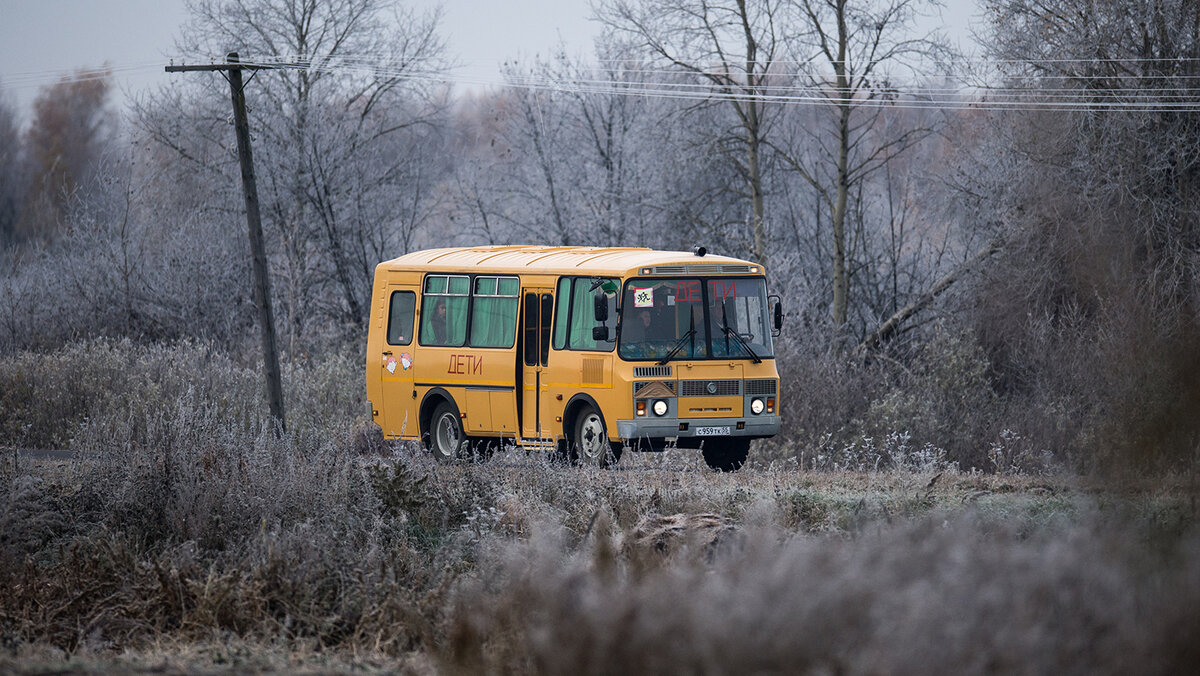 Нехватка школьных автобусов, бездорожье и черствость взрослых обрекают  татарстанских детей на страдания | Республика Татарстан | Дзен