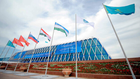    Белоруссия ратифицировала меморандум о вступлении в ШОС Ирина Петрова