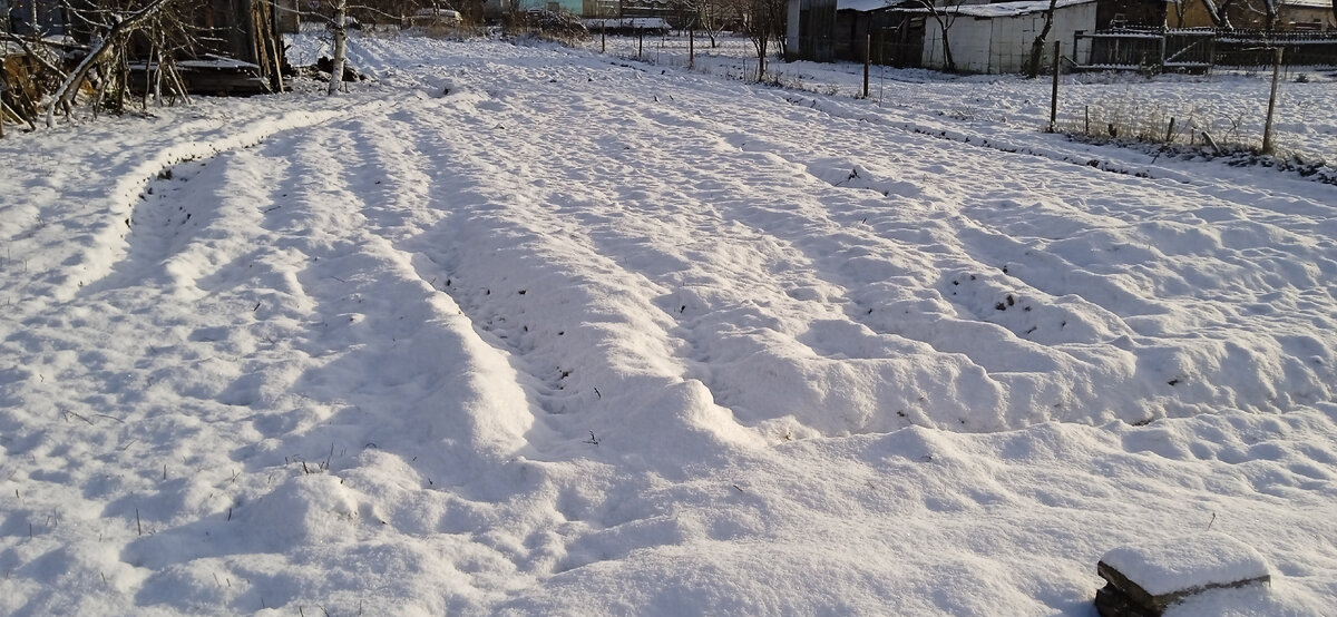 29 ноября православная церковь вспоминает святого Матфея, одного из двенадцати апостолов Иисуса Христа и автора первого канонического Евангелия