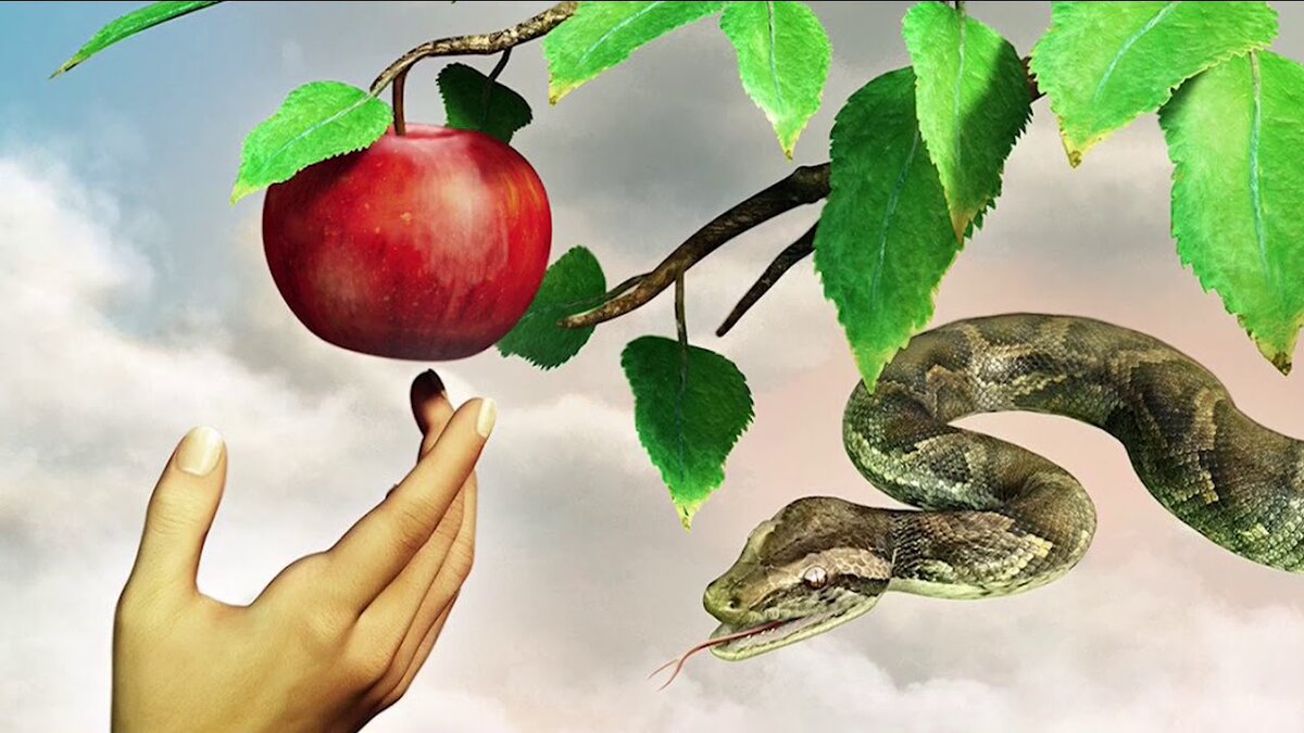 из открытых источников интернета 