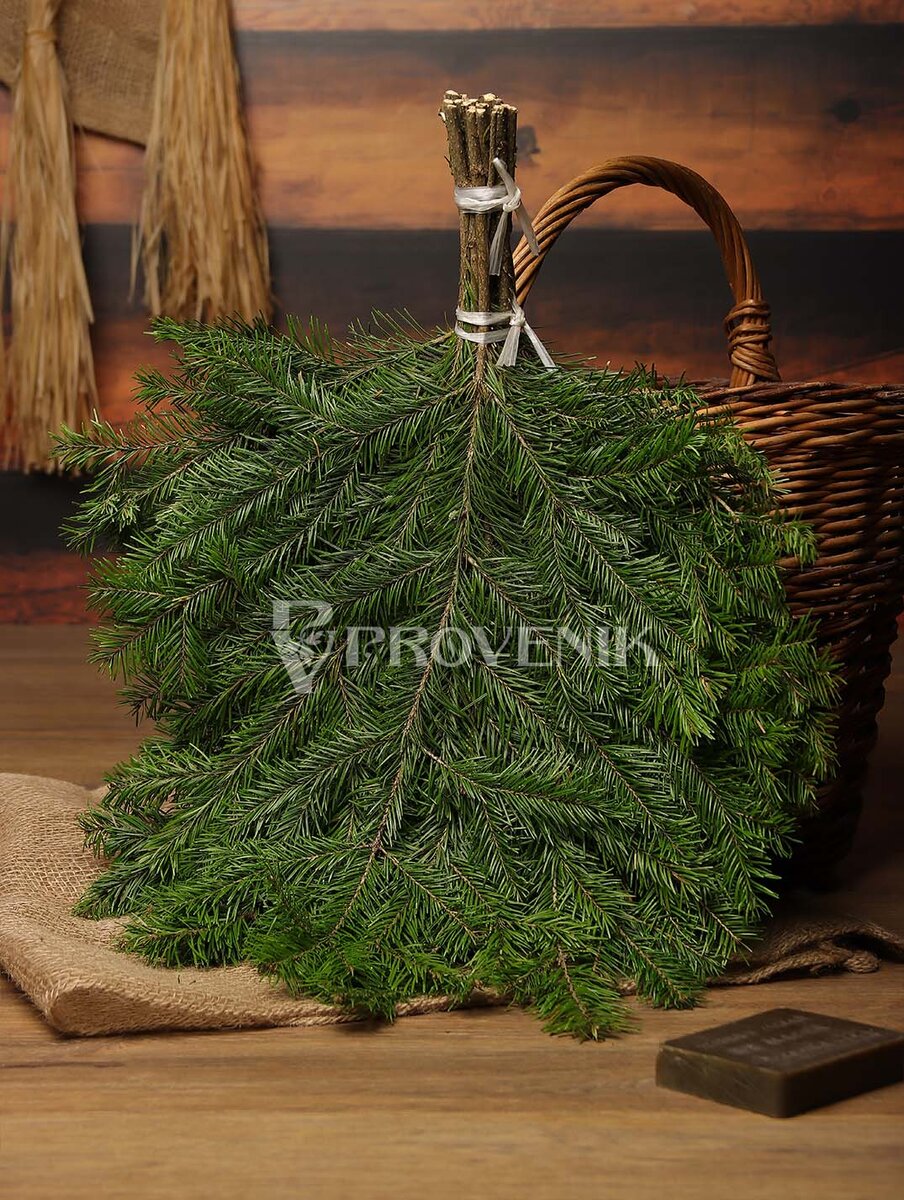Наш пихтовый веник