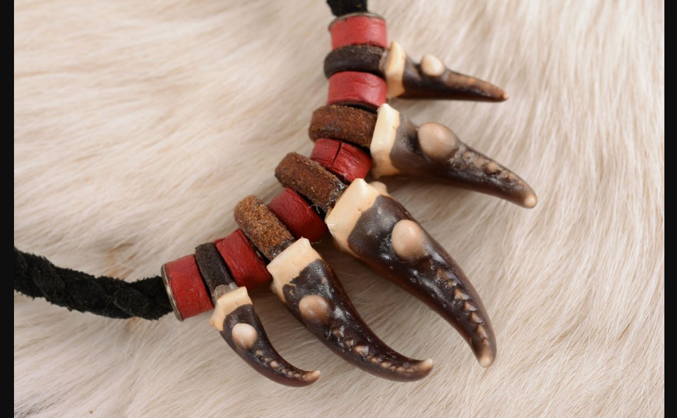 Ожерелье из клыков. Фото из открытого источника в Яндексе