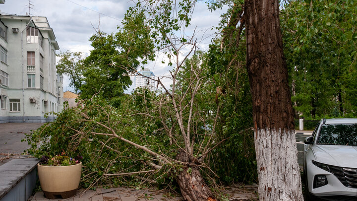 ФОТО: SVETLANA VOZMILOVA/GLOBALLOOKPRESS