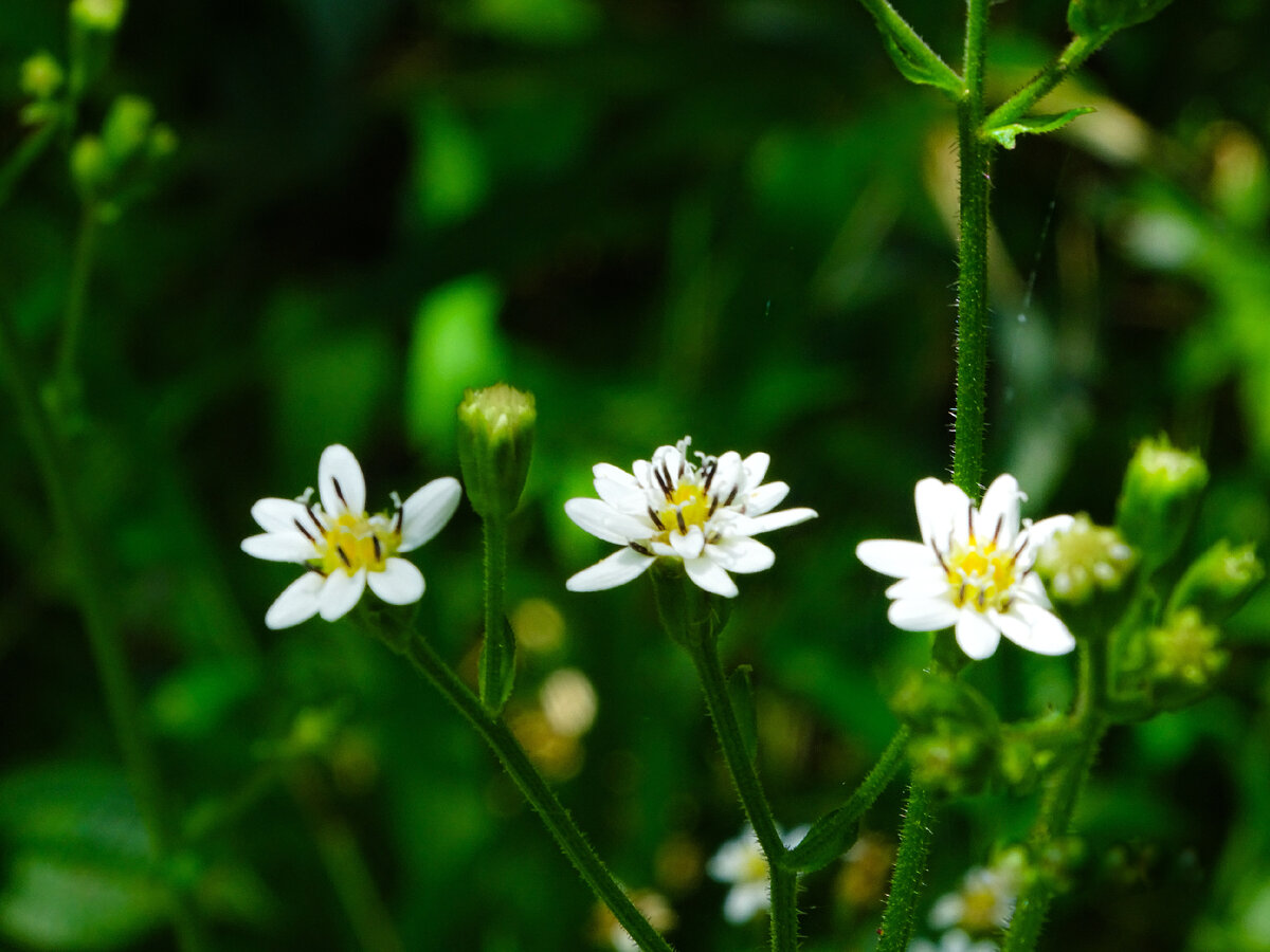 Картинка с бесплатного фотостока https://unsplash.com, автор Carol Romão