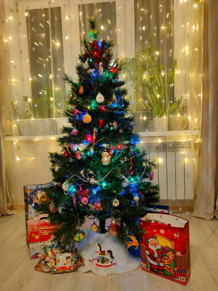 Растения на подоконнике видны и "конфликтуют" с ёлкой