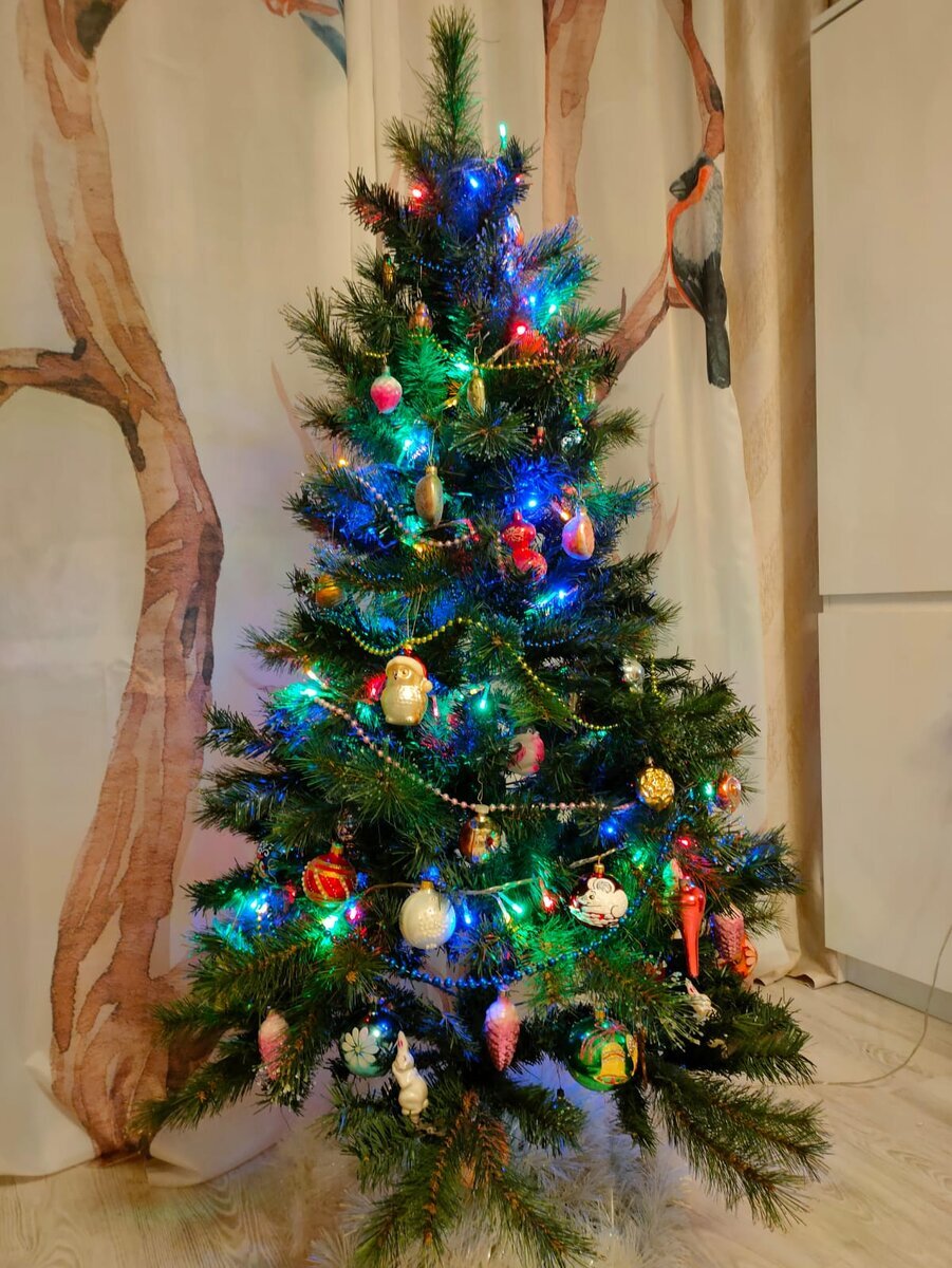 Растения спрятаны за фототюлью