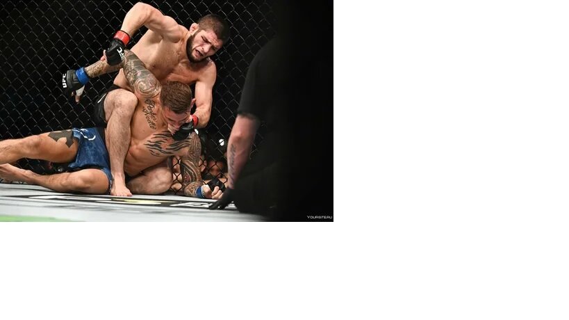 Правильные пацаны не хотят напрягать свои извилины. Им проще избивать своего противника на потеху толпе