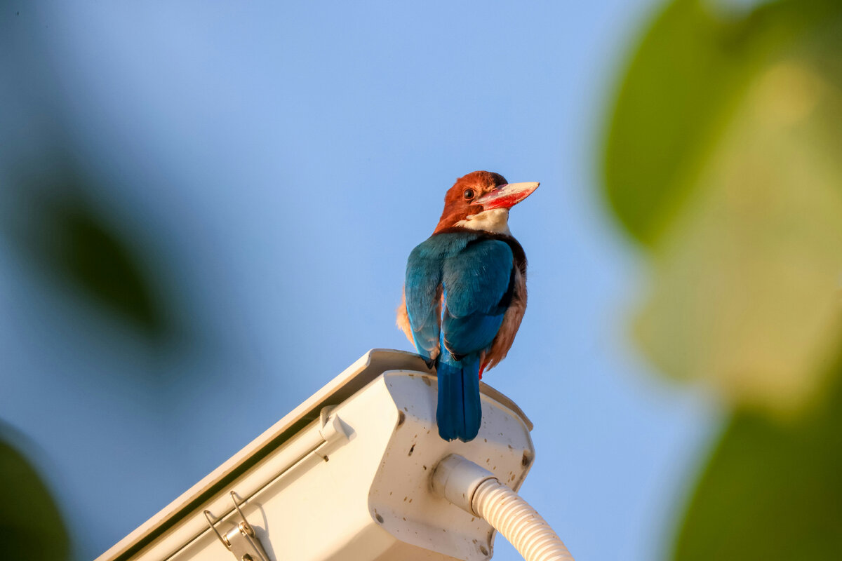 Картинка с бесплатного фотостока https://unsplash.com, автор DL314 Lin