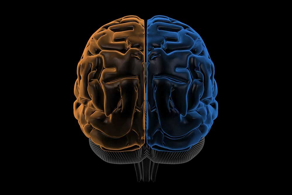 За последние десятилетия мы узнали о мозге больше, чем за предыдущие сто лет! 