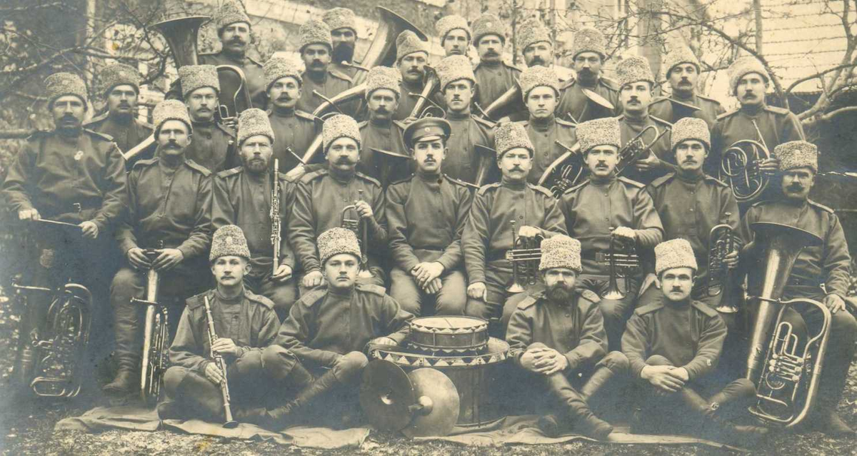 Дивизии риа. Армия 20 века. Царская армия 1918.