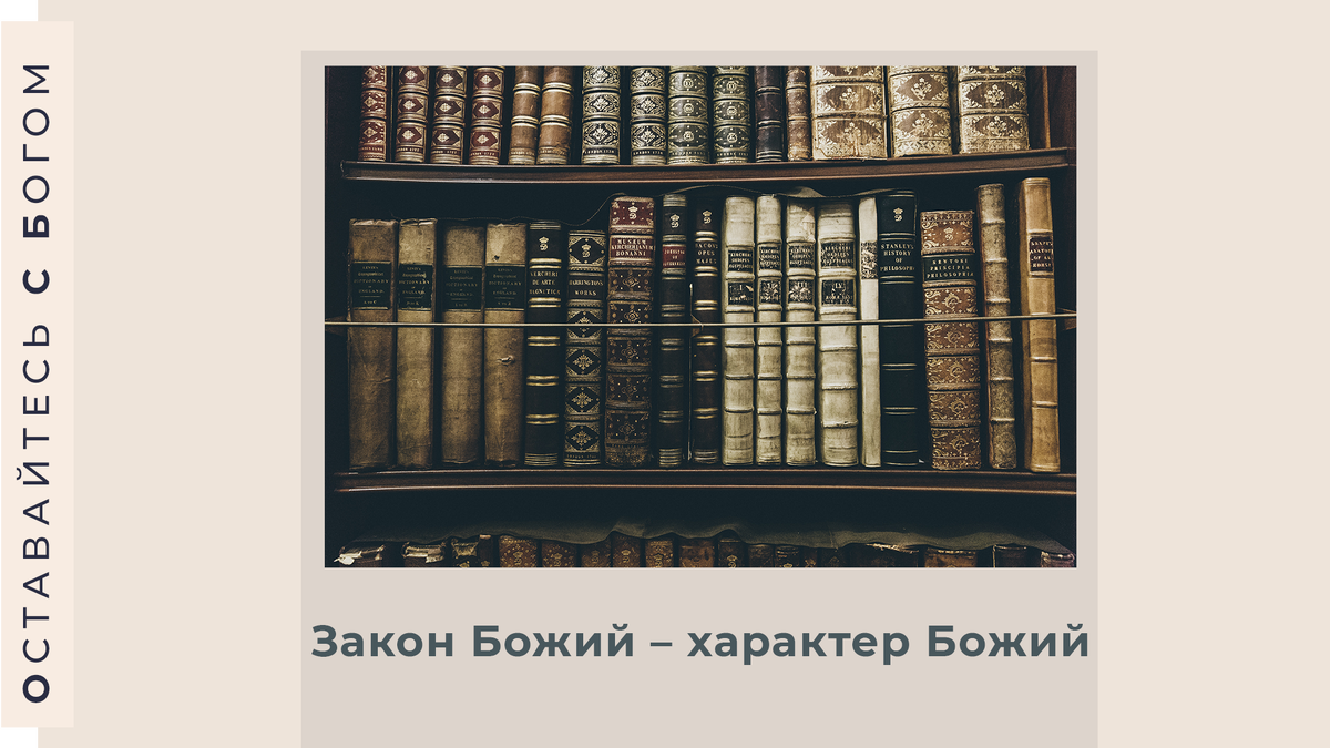 За фото спасибо Thomas Kelley on Unsplash
