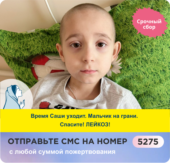 Александр Миронов, Зарайск