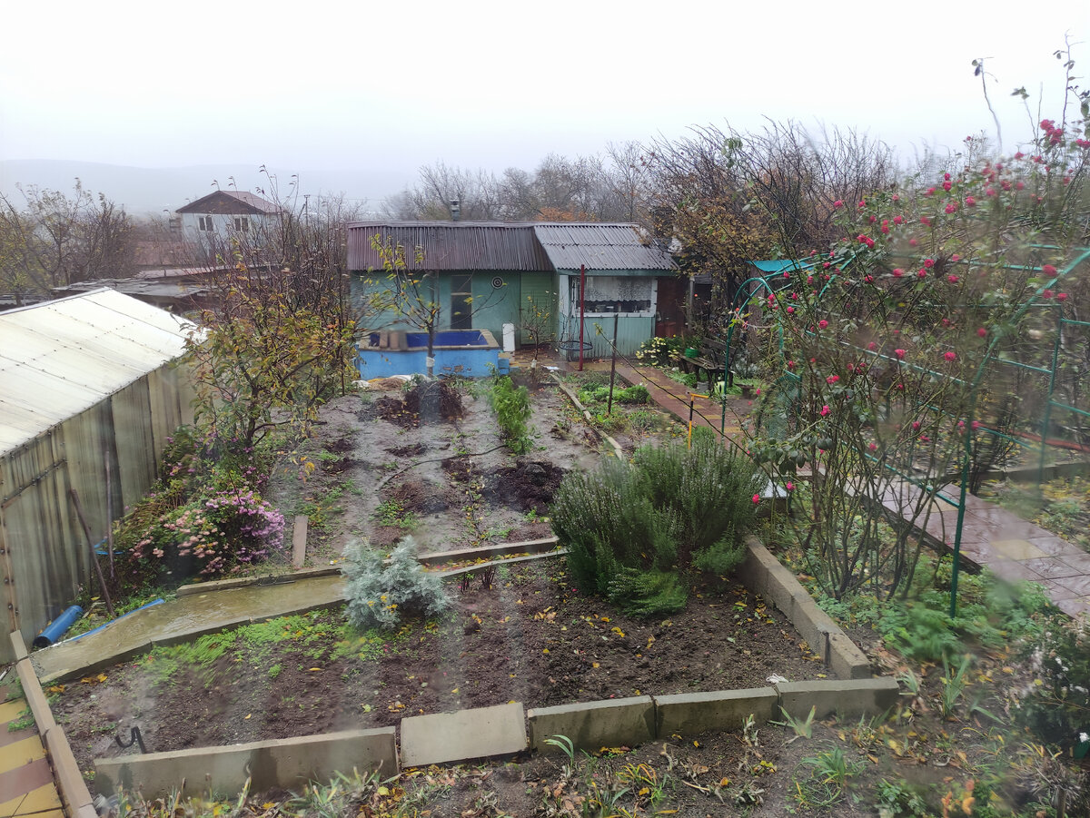 Погода в конце ноября в Краснодарском крае