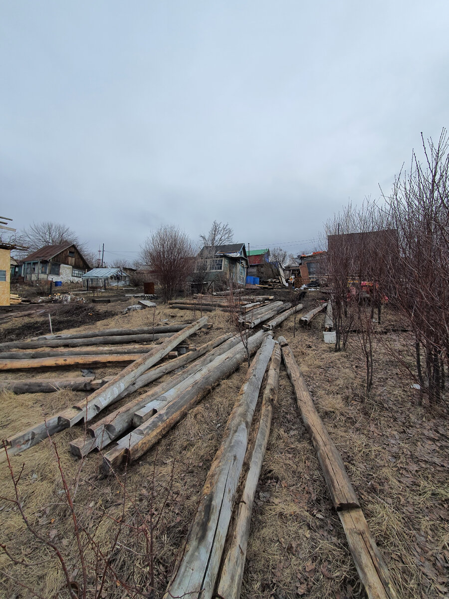 Раскидал бревна по участку,  перед сборкой.