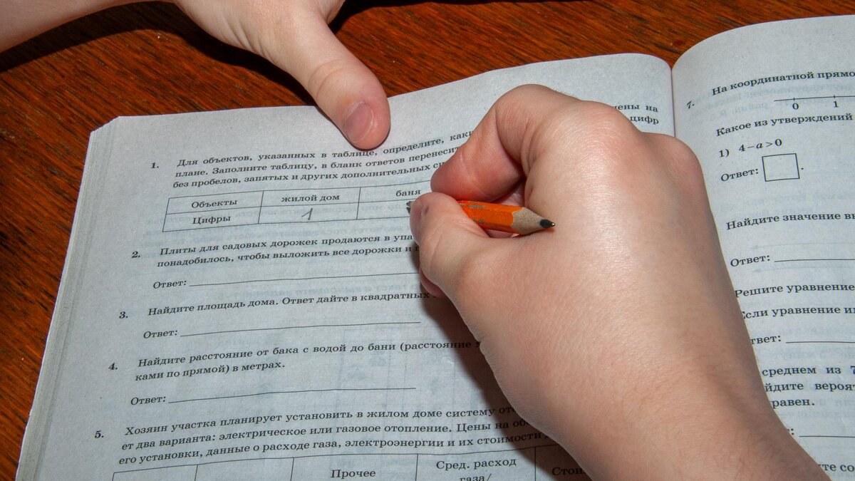 Фото: globallookpress.com/Svetlana Vozmilova