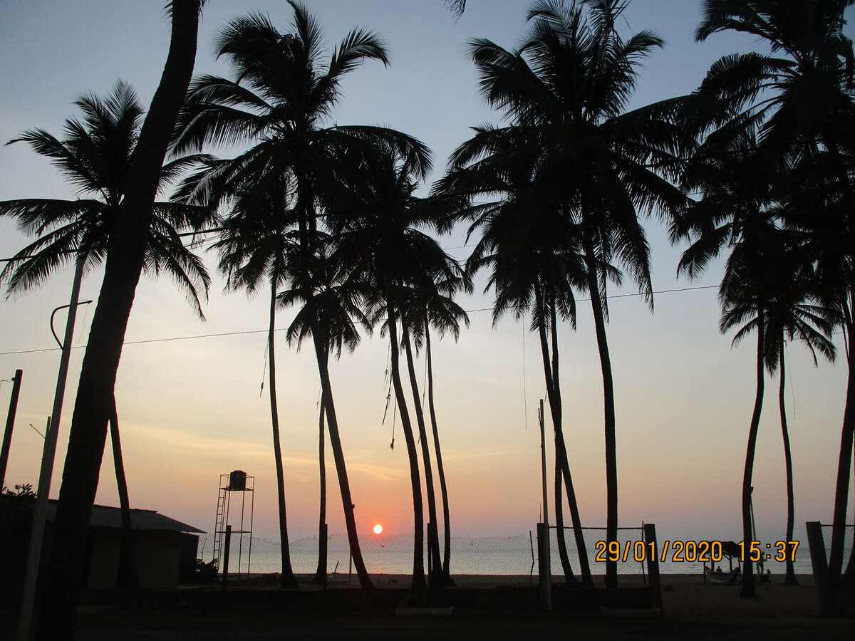 Закат под пальмами - мечта!
