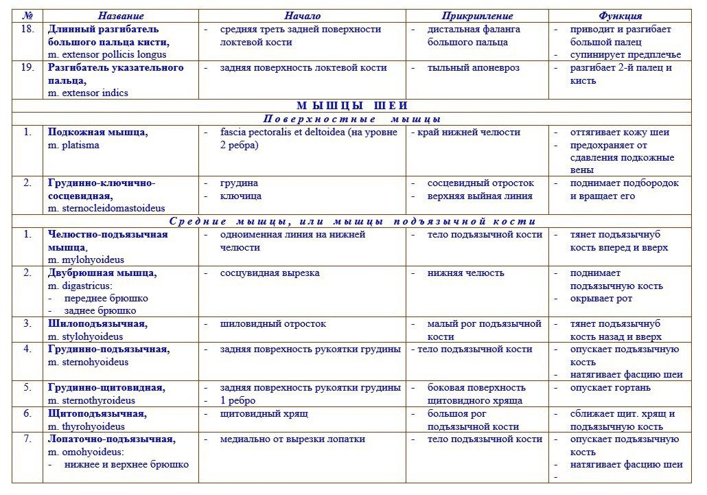 Заполните таблицу конечности паукообразных название конечностей функции