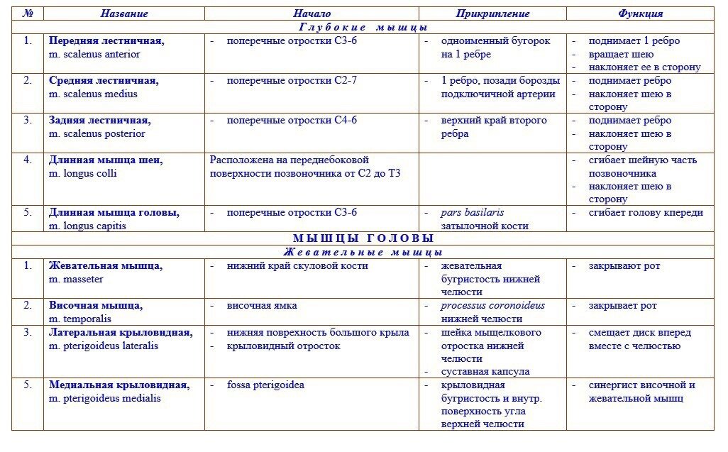 Миология в схемах и таблицах