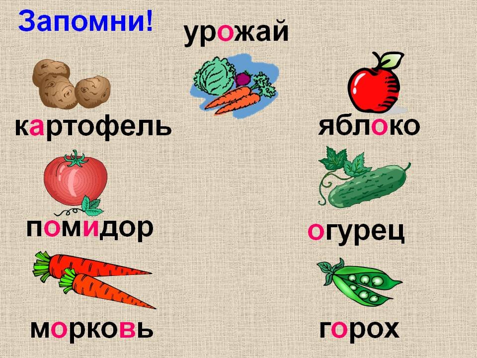 Проект словарные слова в картинках 2 класс