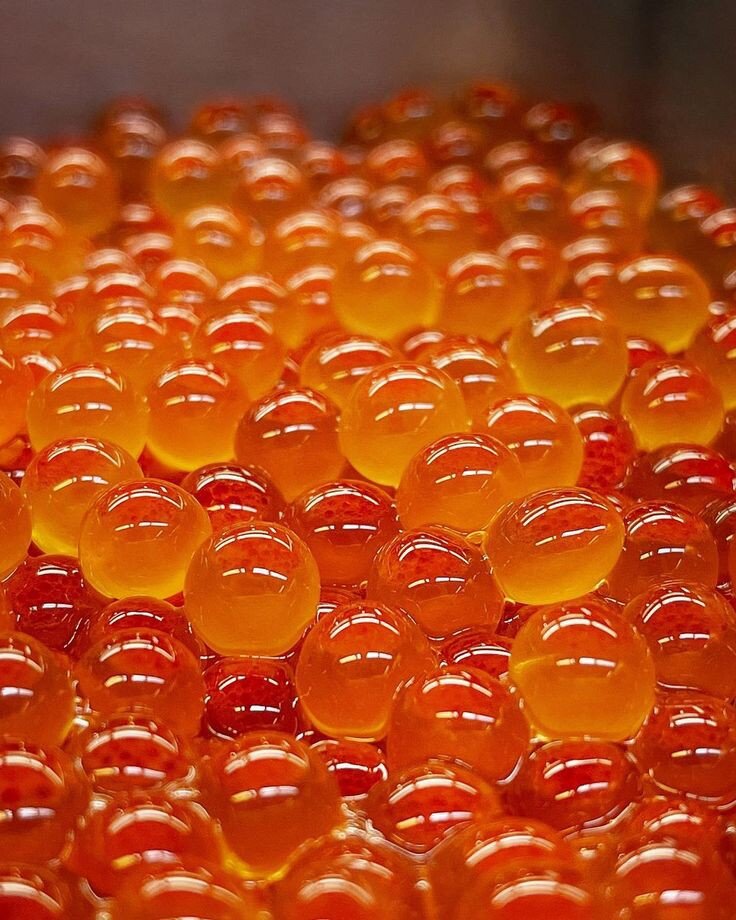 Фото: Monika Felkai свободный доступ Пинтерест 