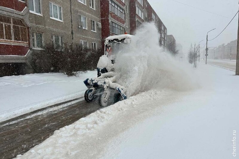    Об этом cherinfo рассказал замдиректора "Спецавтотранса" Дмитрий Дураничев.