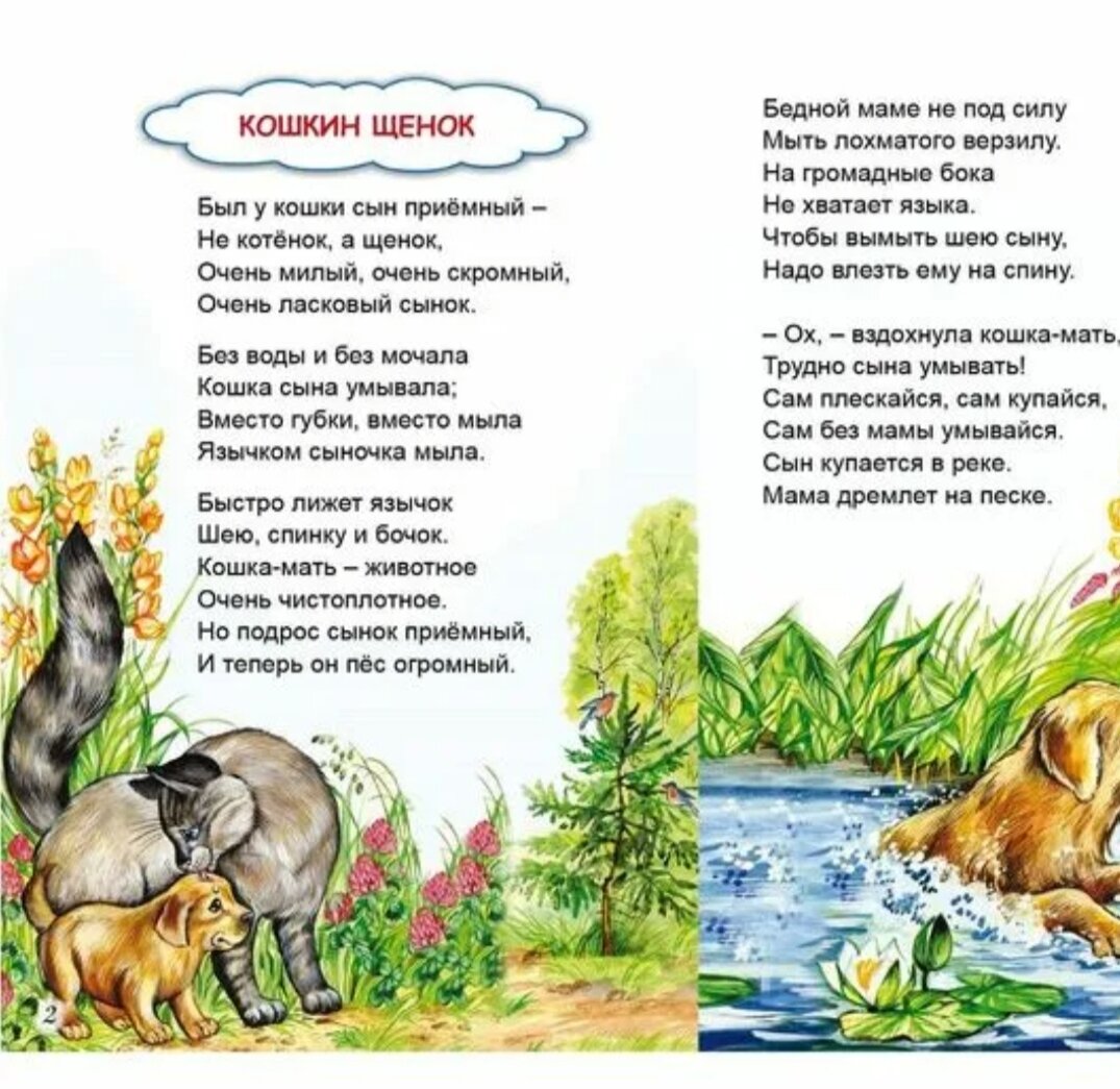 Тема стихотворения кошкин щенок берестов. Тема стихотворения кошкин щенок берестов. Кошка и щенок стихотворение. «кошкин щенок» в. Тема стихотворения кошкин щенок берестов.