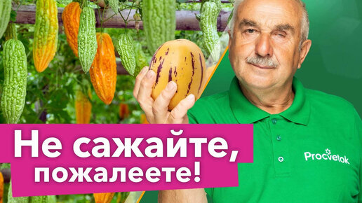 Больше никогда не посажу эти растения в огороде! Вырастить сложно, а урожая кот наплакал