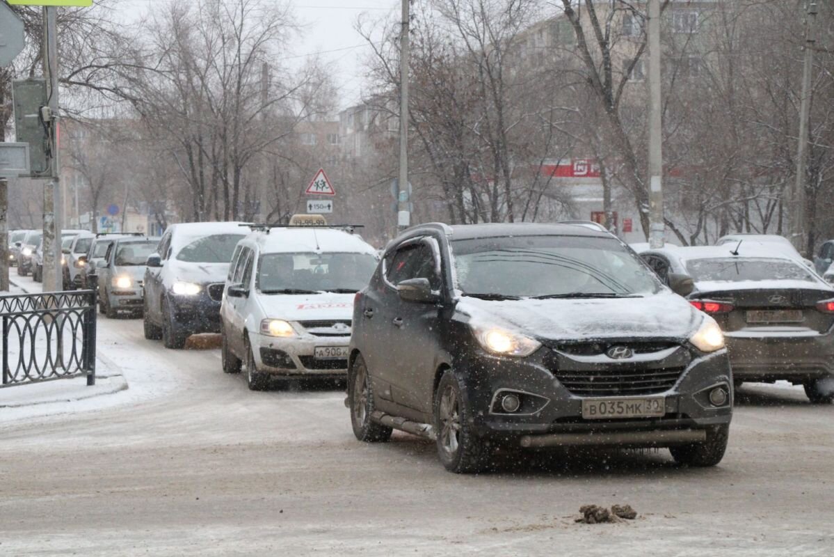 Фото: Е. Зимней.