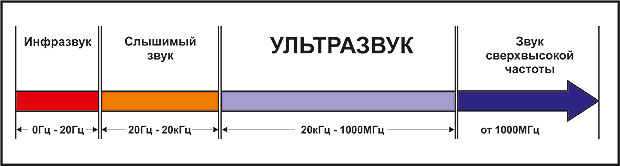 Какая частота колебаний ультразвука