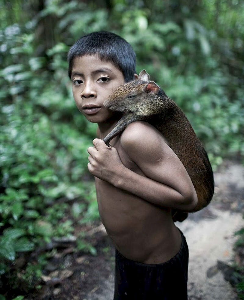 Племя обитало. Человек в джунглях.